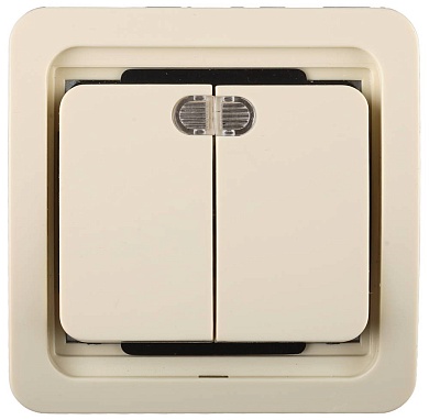 СВЕТОЗАР Гамма, двухклавишный с подсветкой цвет бежевый 10А/~250В, Электрический выключатель (SV-54135-B)SV-54135-B