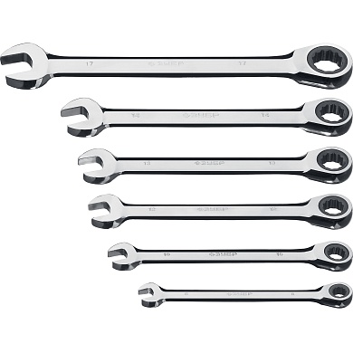 ЗУБР 6 шт, 8-17 мм, Набор комбинированных трещоточных гаечных ключей, Профессионал (27074-H6)27074-H6_z01