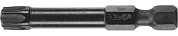 ЗУБР TX 40, 50 мм, 2 шт., Ударные биты (26025-40-50-S2)26025-40-50-S2
