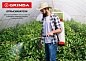 GRINDA PS-2, 2 л, ручной, колба из полиэтилена, помповый опрыскиватель (425053)